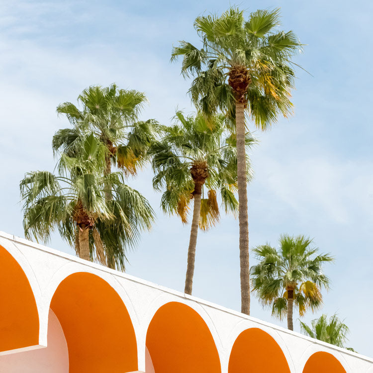 media image for Palm Springs 1 By Grand Image Home 111346_P_27X27_M 1 297