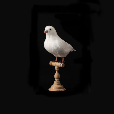 product image of dove small design by puebco 1 520