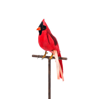 product image of cardinal design by puebco 1 564