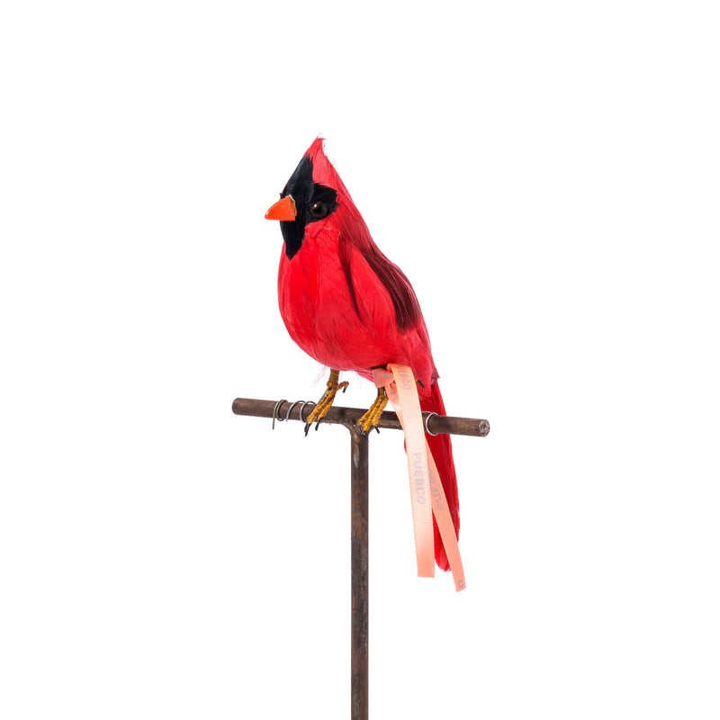 media image for cardinal design by puebco 1 245