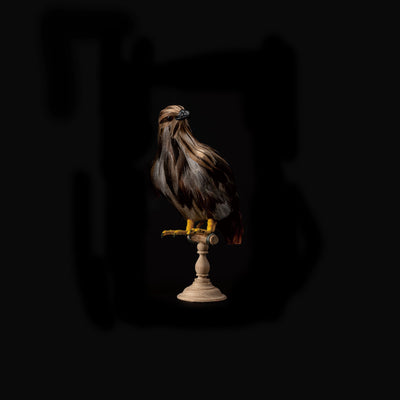 product image of eagle small design by puebco 1 564