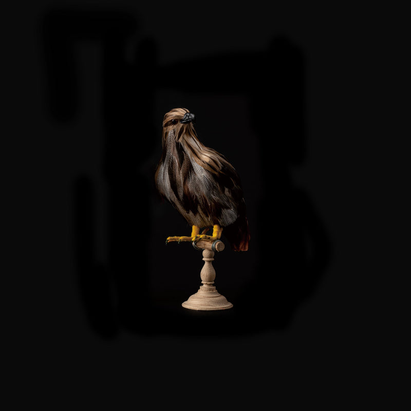 media image for eagle small design by puebco 1 219