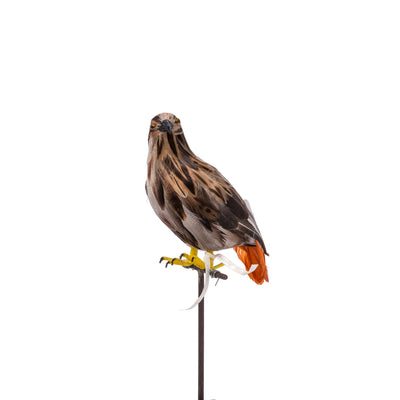 product image for eagle small design by puebco 3 19