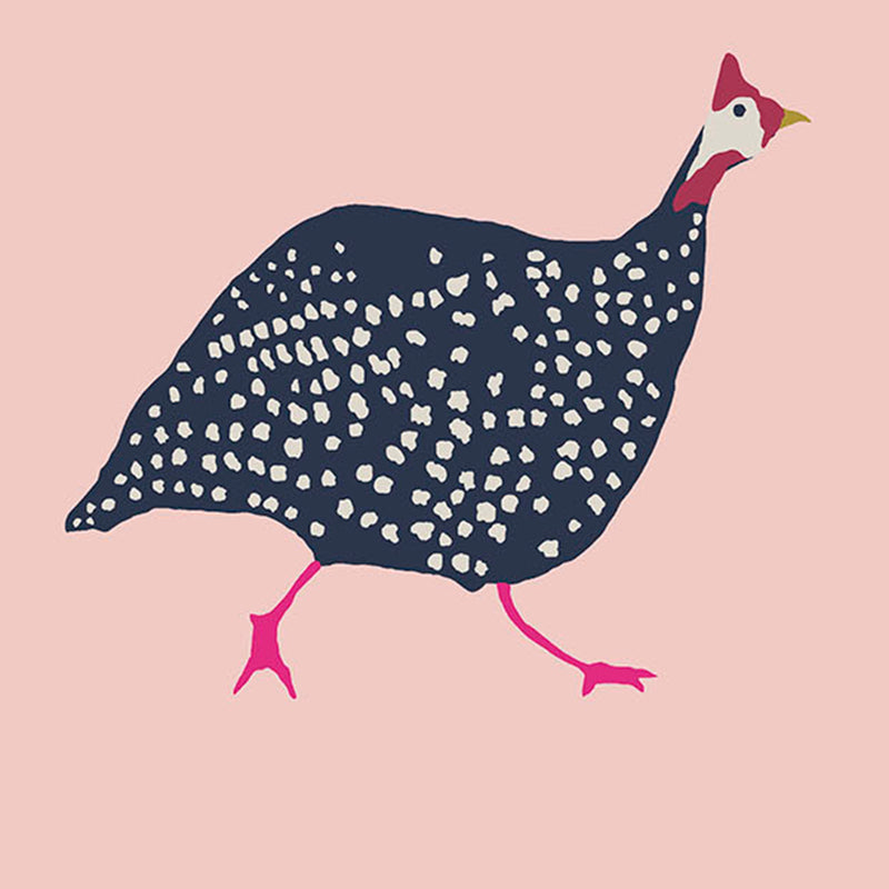 media image for Joules Guinea Fowl Blush Pink Wallpaper by Graham & Brown 256