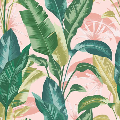 product image for Envy Leaf It Out Sunrise Wallpaper by Graham & Brown 28