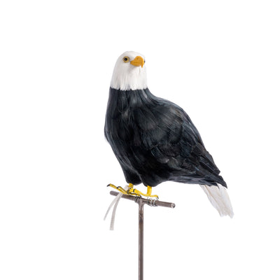 product image of hawk large design by puebco 1 530
