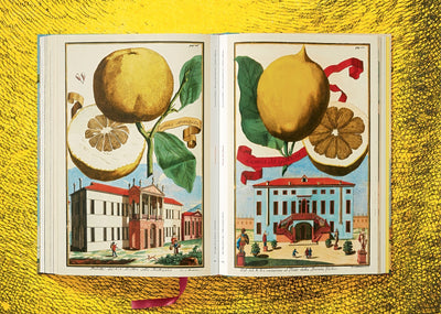 product image for j c volkamer the book of citrus fruits 13 92