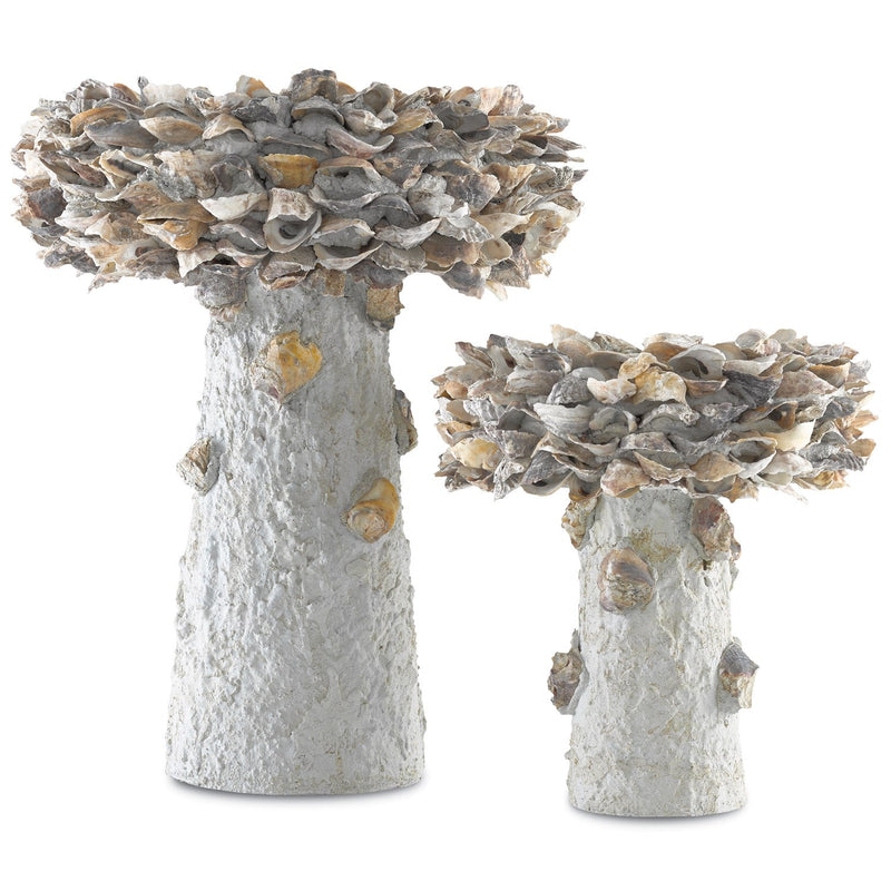 media image for Oyster Shell Bird Bath 7 248