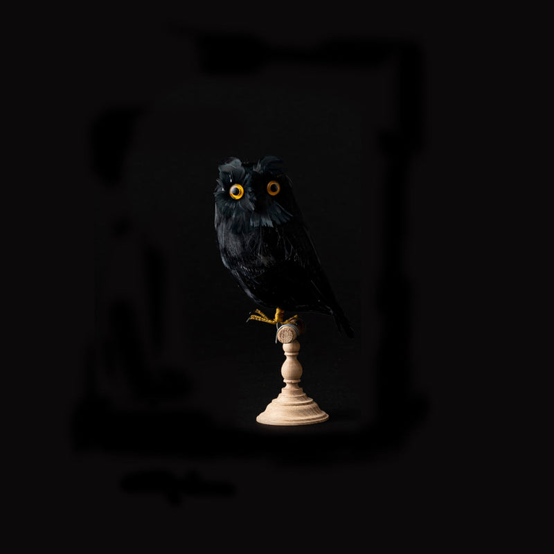 media image for owl black design by puebco 1 276