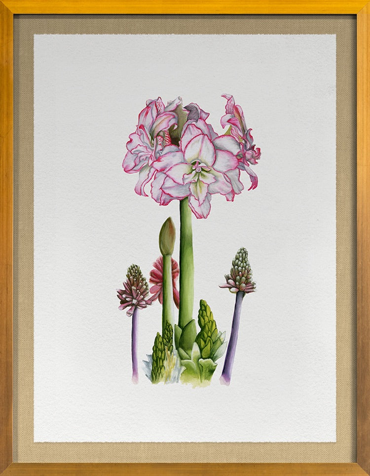 media image for Amaryllis By Grand Image Home 124403_P_36X28_Go 1 262