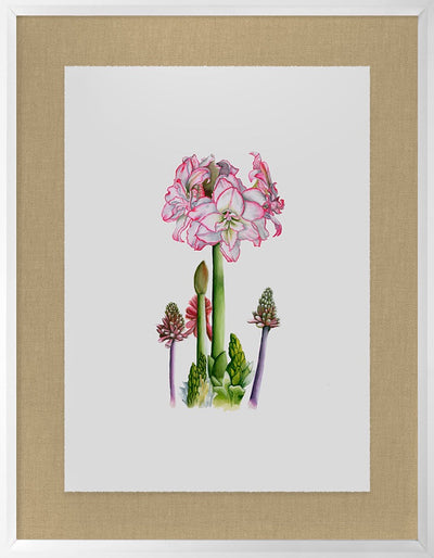 product image for Amaryllis By Grand Image Home 124403_P_36X28_Go 2 21