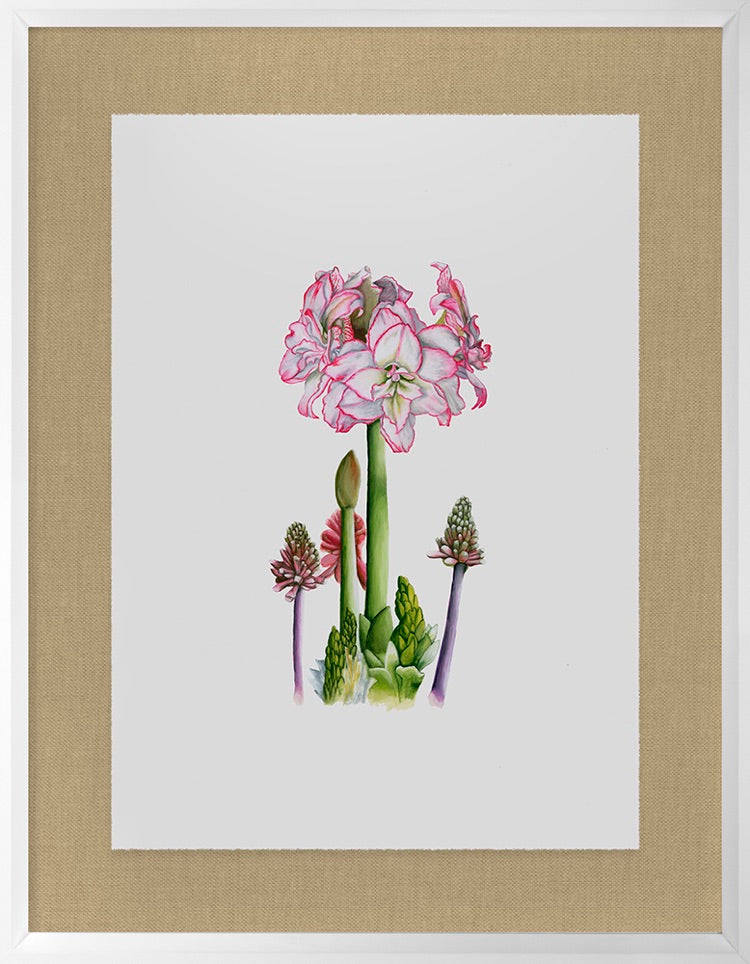 media image for Amaryllis By Grand Image Home 124403_P_36X28_Go 2 279