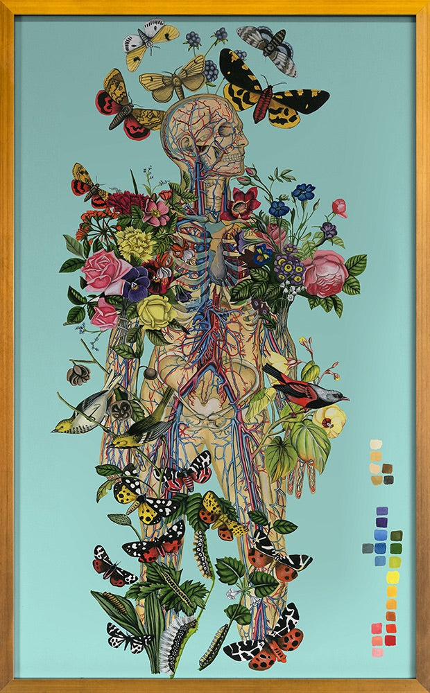 media image for Anatomical Botanical Blue By Grand Image Home 124406_P_38X24_Go 1 252
