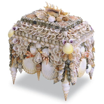 product image of Boardwalk Shell Jewelry Box 1 593