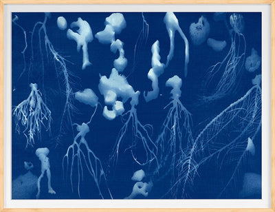 product image of Cyanotype 4 By Grand Image Home 125662_P_28X36_H 1 596