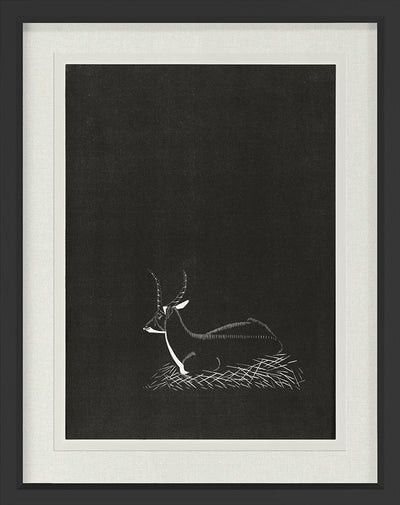 product image of Antelope By Grand Image Home 125803_P_24X19_B 1 550