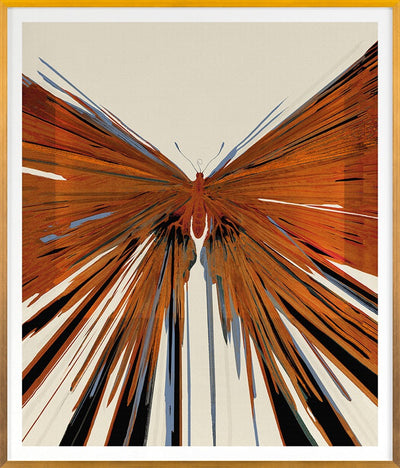 product image for Butterfly Boom 1 By Grand Image Home 126695_P_35X30_B 3 40