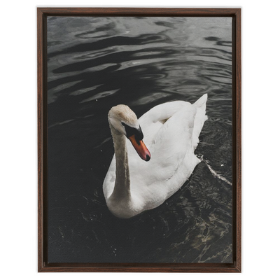 product image for swan framed canvas 5 73