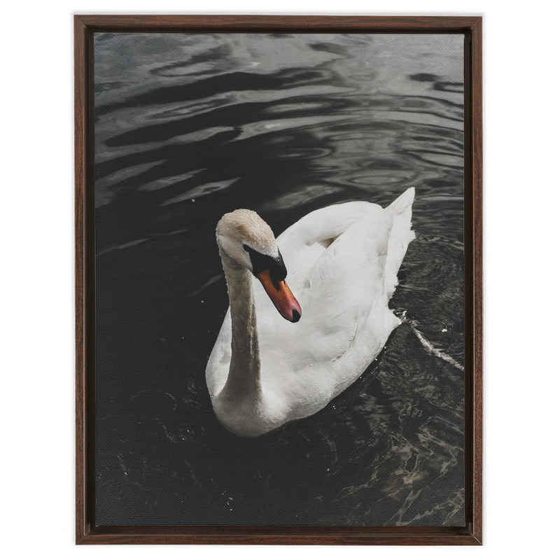 media image for swan framed canvas 5 284