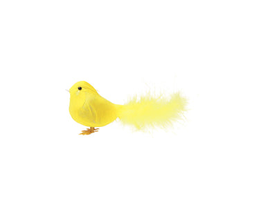 product image of pipi yellow 1 518