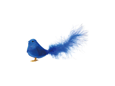 product image of pipi blue 1 521