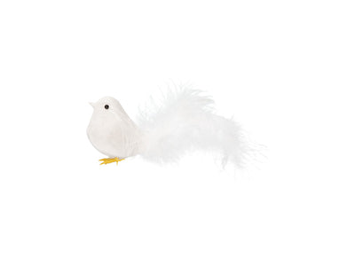 product image of pipi white 1 536