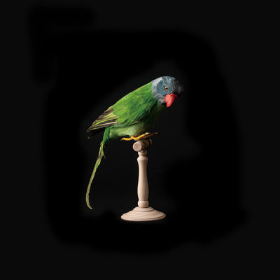 product image for green parrot design by puebco 1 28