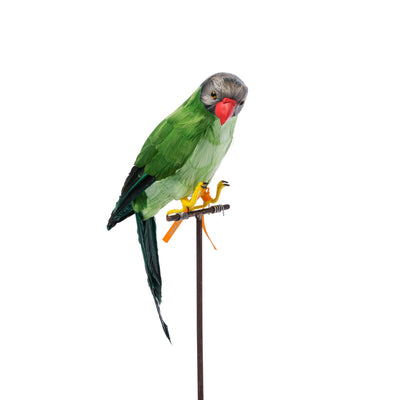 product image for green parrot design by puebco 2 78