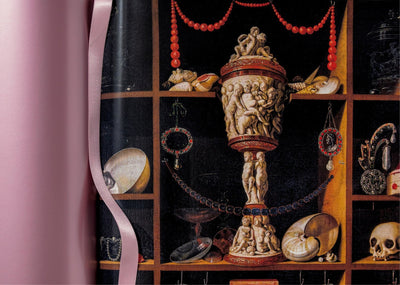 product image for massimo listri cabinet of curiosities 12 96
