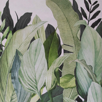 product image of Tropical Forest Coconut Wall Mural from the Tropical Collection by Galerie Wallcoverings 588