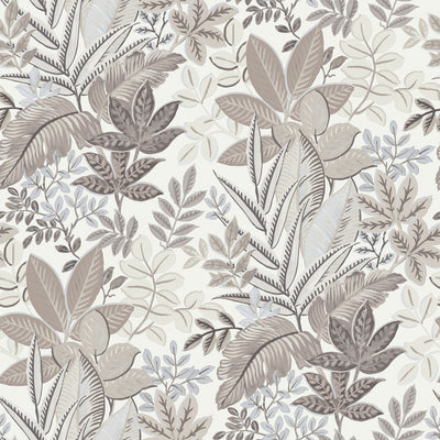 product image of sample foliage beige wallpaper from the into the wild collection by galerie wallcoverings 1 565