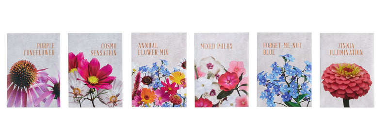 media image for The Floral Society Individual Seeds Assortment 247