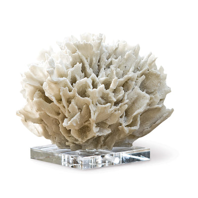 product image of Ribbon Coral in White design by Regina Andrew 585