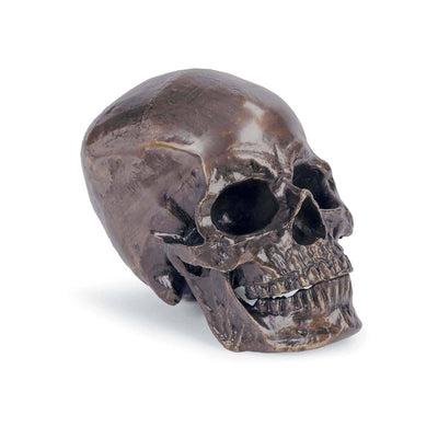 product image for metal skull by regina andrew 20 1034bz 1 66