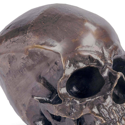 product image for metal skull by regina andrew 20 1034bz 3 15