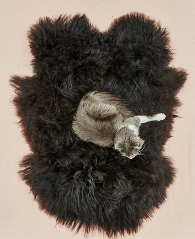 product image for Icelandic Sheepskin in Various Colors design by Hawkins New York 95