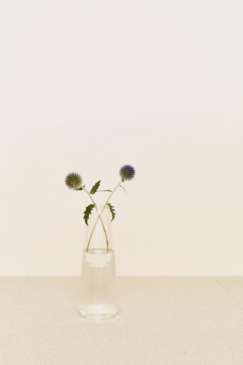 media image for Aurora Vase in Various Sizes & Colors by Hawkins New York 214