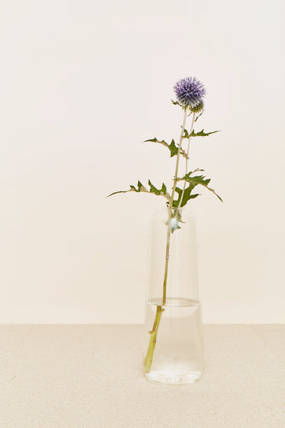 product image for Aurora Vase in Various Sizes & Colors by Hawkins New York 40