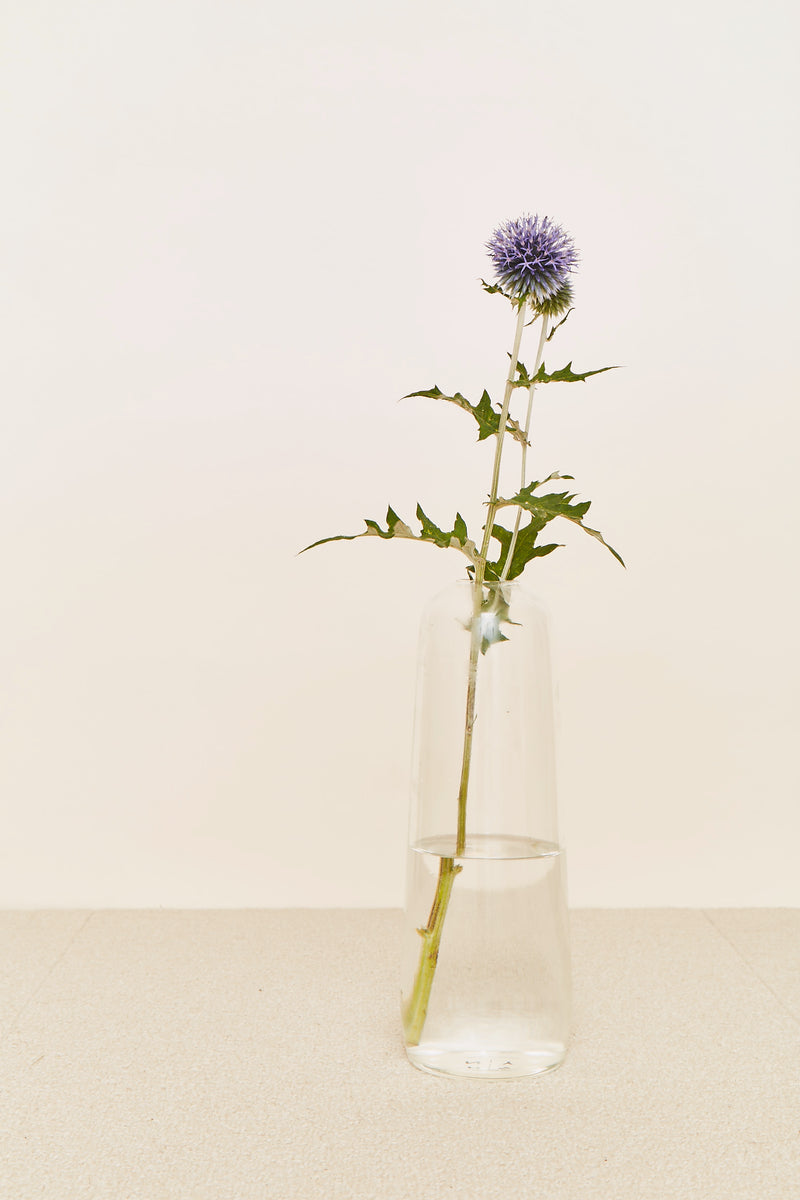 media image for Aurora Vase in Various Sizes & Colors by Hawkins New York 245