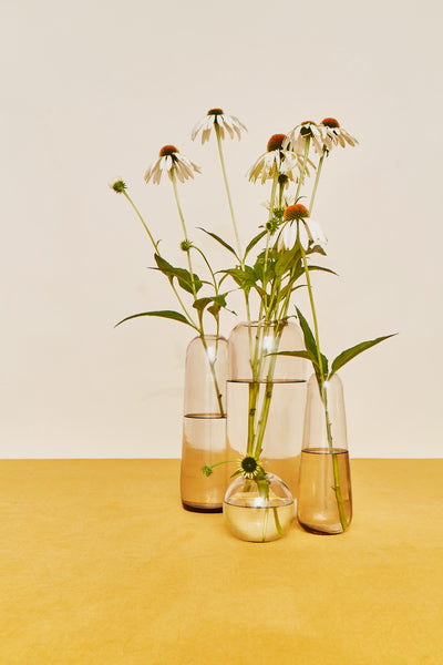 product image for Aurora Vase in Various Sizes & Colors by Hawkins New York 13