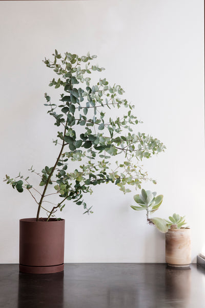product image for Sekki Pot by Ferm Living 64