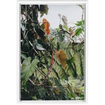 product image for jungle framed canvas 3 52