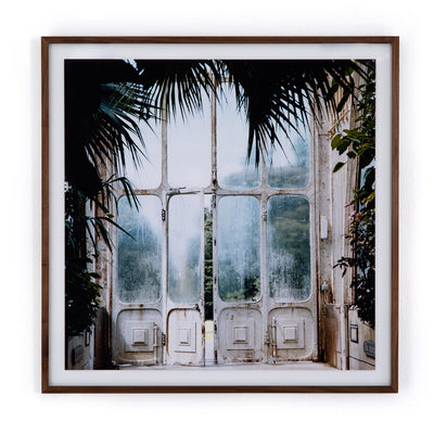 product image of Greenhouse Ii By Annie Spratt 593