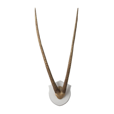 product image of Gazelle Horns Ecru Wood Plaque by Burke Decor Home 541