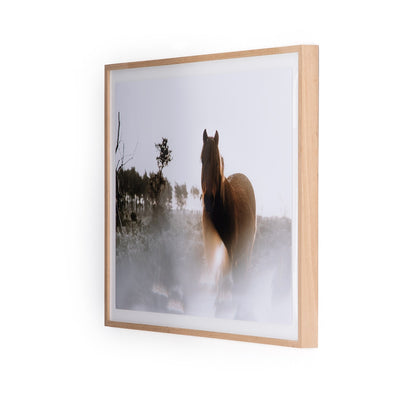 product image for Horse Gaze By Annie Spratt 48