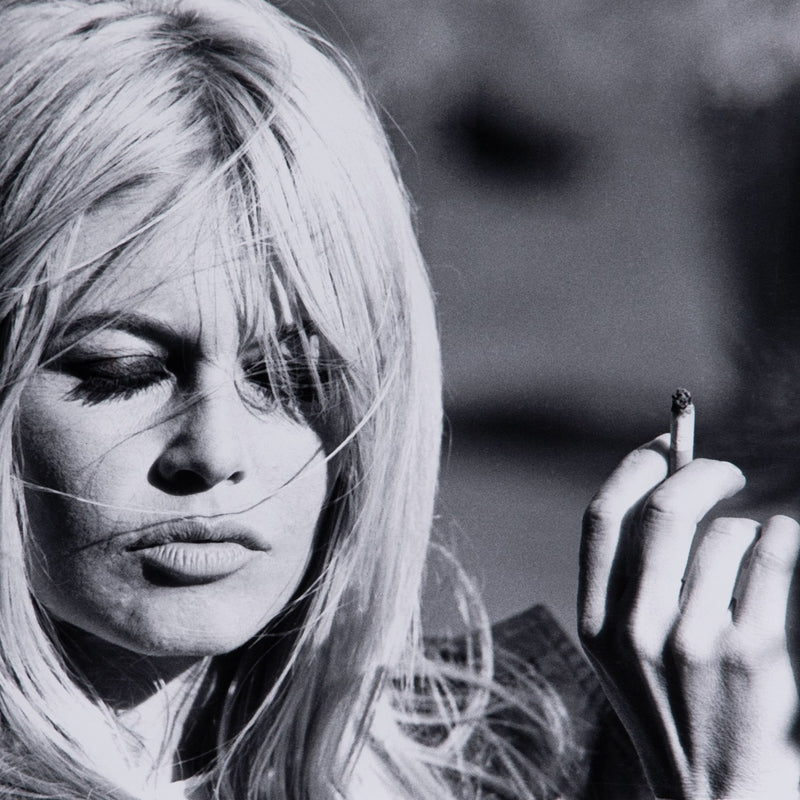 media image for Brigitte Bardot By Getty Images 288