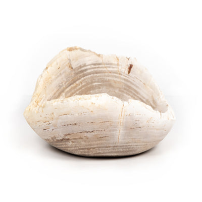 product image for oval petrified wood bowl by bd studio 227714 001 4 16