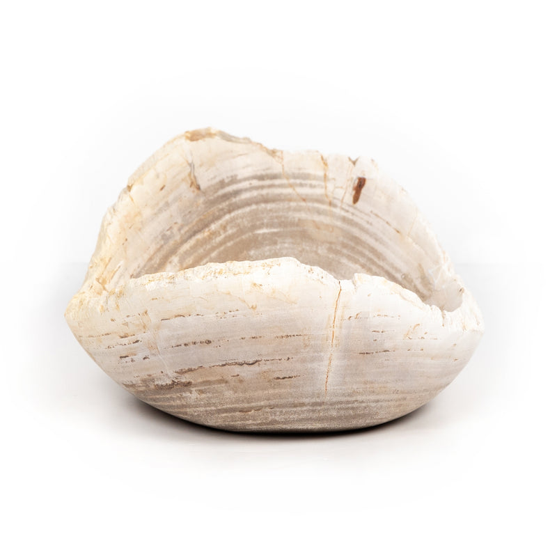 media image for oval petrified wood bowl by bd studio 227714 001 4 287