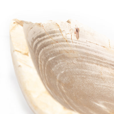 product image for oval petrified wood bowl by bd studio 227714 001 5 86