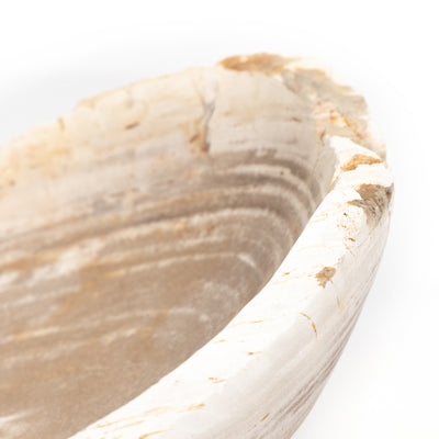 product image for oval petrified wood bowl by bd studio 227714 001 6 10